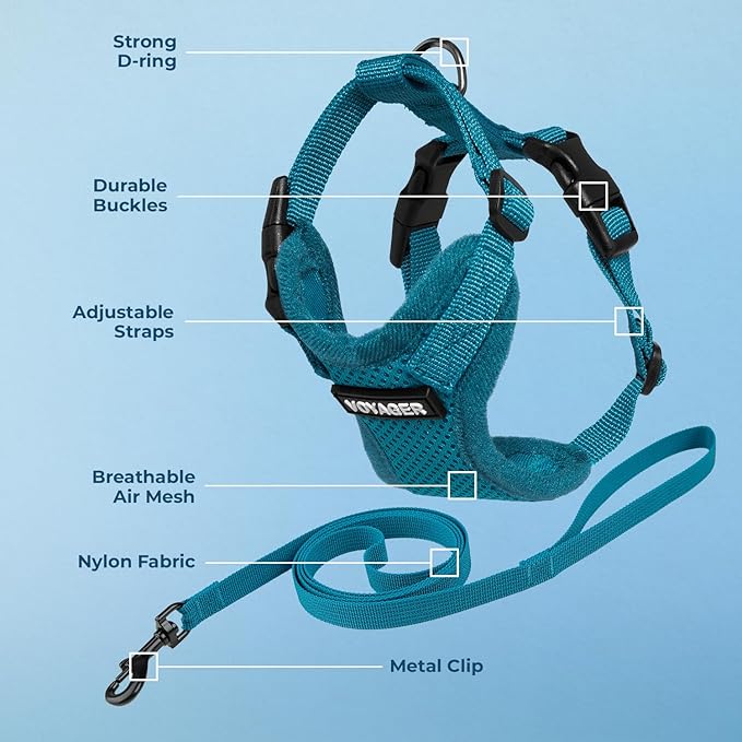 Voyager Step-in Lock Adjustable Cat Harness w. Cat Leash Combo Set with Neoprene Handle 5ft - Supports Small, Medium and Large Breed Cats by Best Pet Supplies - Turquoise, XXS