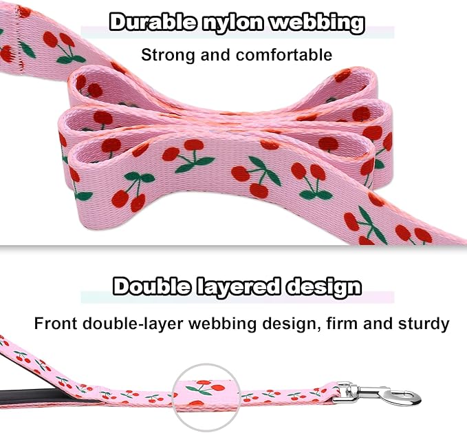 6ft Dog Leash with Two Padded Handles, Heavy Duty Strong Nylon Pet Leash with Soft Neoprene Handle for Small Medium Large Dogs, Cherry
