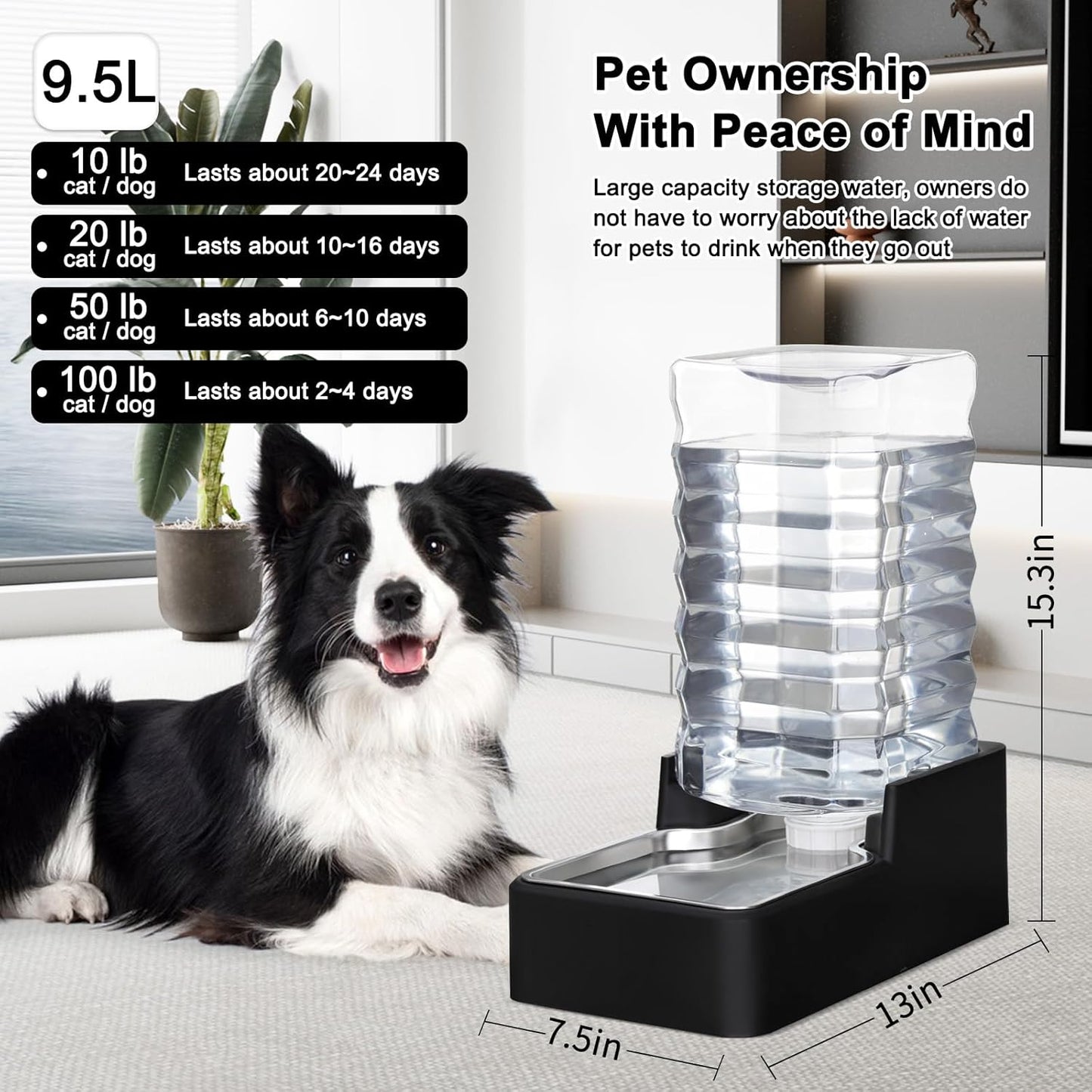 RIZZARI Stainless Steel Pet Water Feeder: 9.5L Black Automatic Leak-Proof Gravity Dispenser - Without Filter - for Senior 40-60 LB Dogs with Joint Spine Issues -Garage Living Room