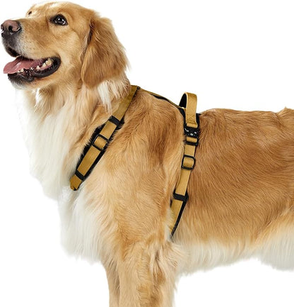 PawsPassion Dog Harness for Large Dogs, No Pull Dog Harness with Metal Hardware, Ergonomic Y-Shaped Design, Soft Padding, Padded Handle, Durable High-Tensile Nylon (Sunrise, L)