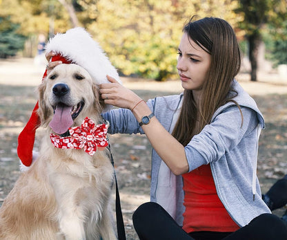 DOGWONG Christmas Dog Collar with Flower, Red Santa Claus Dog Collar Soft Durable Adjustable Cotton Puppy Collar for Small Medium Large Dog