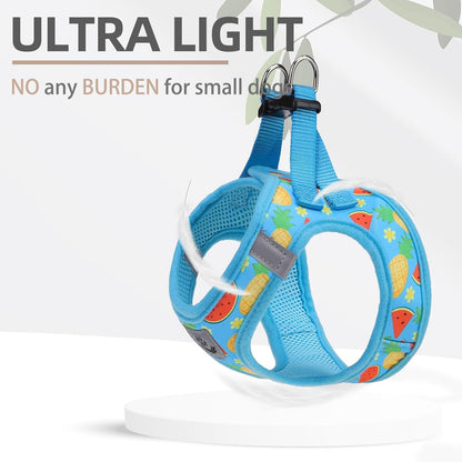 PUPTECK Adjustable Dog Harness Collar and Leash Set Step in No Pull Pet Harness for Small Medium Dogs Puppy and Cats Outdoor Walking Running, Soft Mesh Padded Reflective Vest Harnesses, Sky Blue M