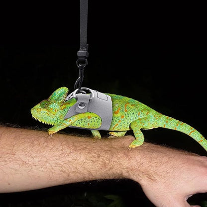 Bearded Dragon Harness and Leash Set, 3 Size Adjustable Soft Leather Reptile Leash, Lizard Harness with Retractable, Small Animal Outdoor Walking Vest with Traction Rope, 3 Pack, Grey