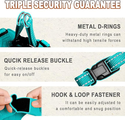 Dog Harness Step in Dog Vest Harness, Reflective Adjustable Puppy No Pull Harness Breathable Soft for Small and Medium Dogs Cats, Ocean Blue, XXS