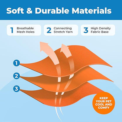 Voyager Escape Proof Cat Harness and Leash Set with Reflective Stitching, Neoprene Handle 5ft - Supports Small, Medium and Large Cats, Kittens for Walking by Best Pet Supplies - Orange, XXS