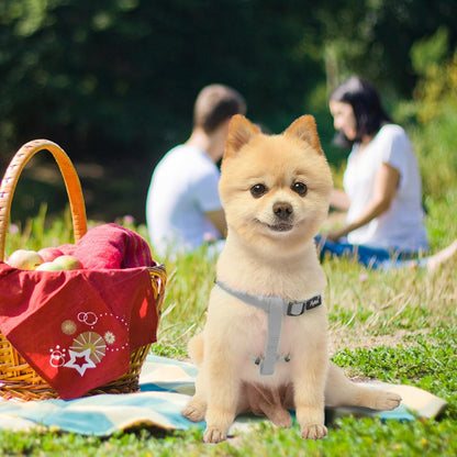 PUPTECK No Pull Dog Harness Soft Adjustable Basic Nylon Step in Puppy Vest Outdoor Walking with ID Tag, Grey, S