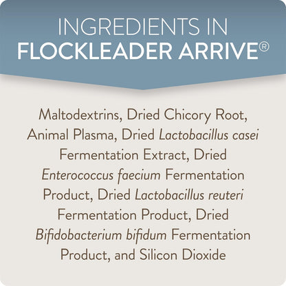 Arrive, Daily Probiotic & Prebiotic Poultry Supplement for Young Chickens 0-8 Weeks Old, 8 oz