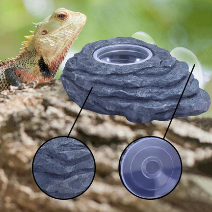 AIICIOO Crested Gecko Feeder Ledge Single Bowl Reptile Food Dish with 3PCS Reptile Feeding Cup Pet Water Dish for Bearded Dragon Snake Frog Tortoise Lizard Chameleon