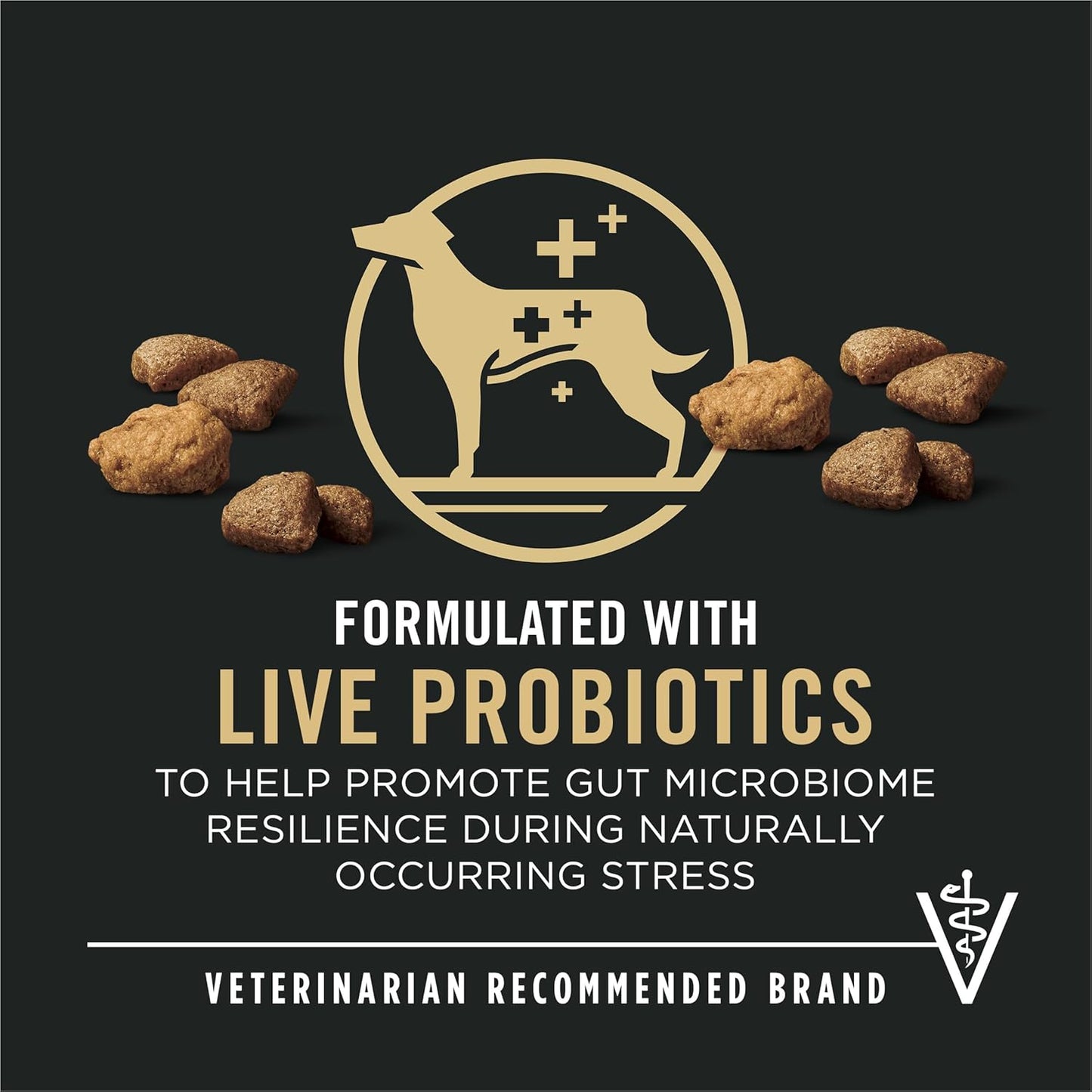 Purina Pro Plan Complete Essentials Shredded Blend Salmon and Rice Dog Food Dry Formula with Probiotics for Dogs - 5 lb. Bag