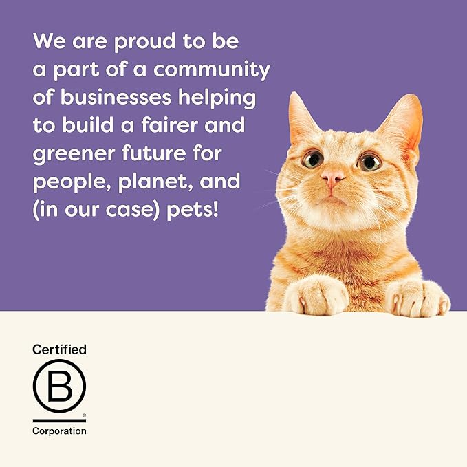 Applaws Natural Wet Cat Food in Gravy, Limited and Natural Ingredients, High Protein with No Artificial Additives, Fish Selection Variety Pack in Gravy (12 x 2.47oz Cans)