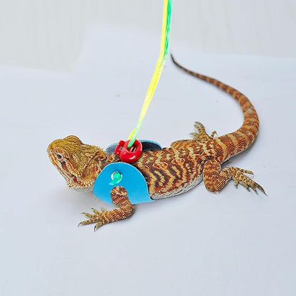 AIITLE Multi-Size Bearded Dragon Leash - Comfortable Adjustable Harness for Reptiles & Small Animals (Outdoor Walks, Pet Events), Blue