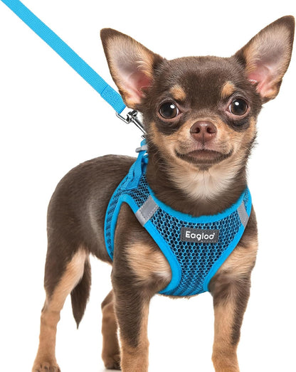 Eagloo Small Dog Harness and Leash Set, Step in Puppy Vest with Breathable Soft Mesh, Walking Reflective Pet Harness for Extra Small Dogs, Blue, XXS