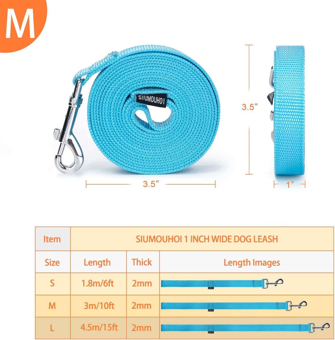 Strong Durable Nylon Dog Training Leash, 1 Inch Wide Traction Rope, 10 ft Long, for Small and Medium Dog (Mint Blue, 10 Feet)