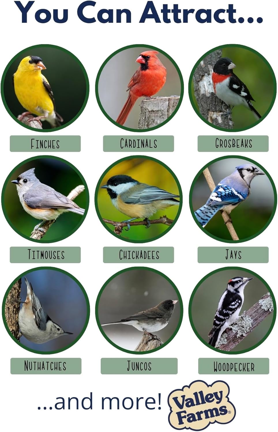 Valley Farms Super Deluxe Wild Bird Food for Outside feeders - 0% fillers - Loads of Sunflower Seed - w/Peanut kernels -Feed More Birds w/Less Seed (4 LBS)