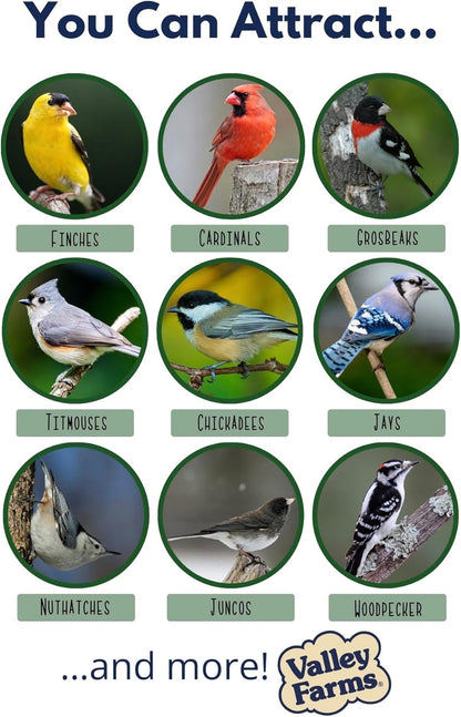 Valley Farms Super Deluxe Wild Bird Food (15 LB) for Outside feeders - 0% fillers - Loads of Sunflower Seed - w/Peanut kernels -Feed More Birds w/Less Seed