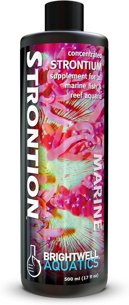 Brightwell Aquatics Strontion High-Strength Ionic Strontium Supplement for Reef Aquariums Supports Coral Skeletal Growth Aragonite Formation SPS LPS, 500 ml