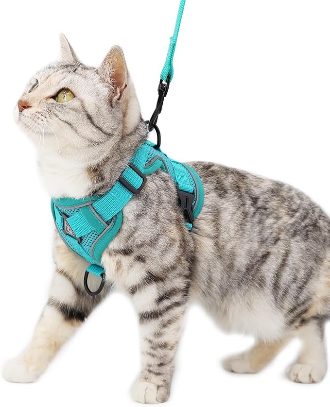 Cat Harness and Leash Set Escape Proof Tactical Extra Large Kitten Harness Emotional Support Cat Vest, Turquoise, XXL
