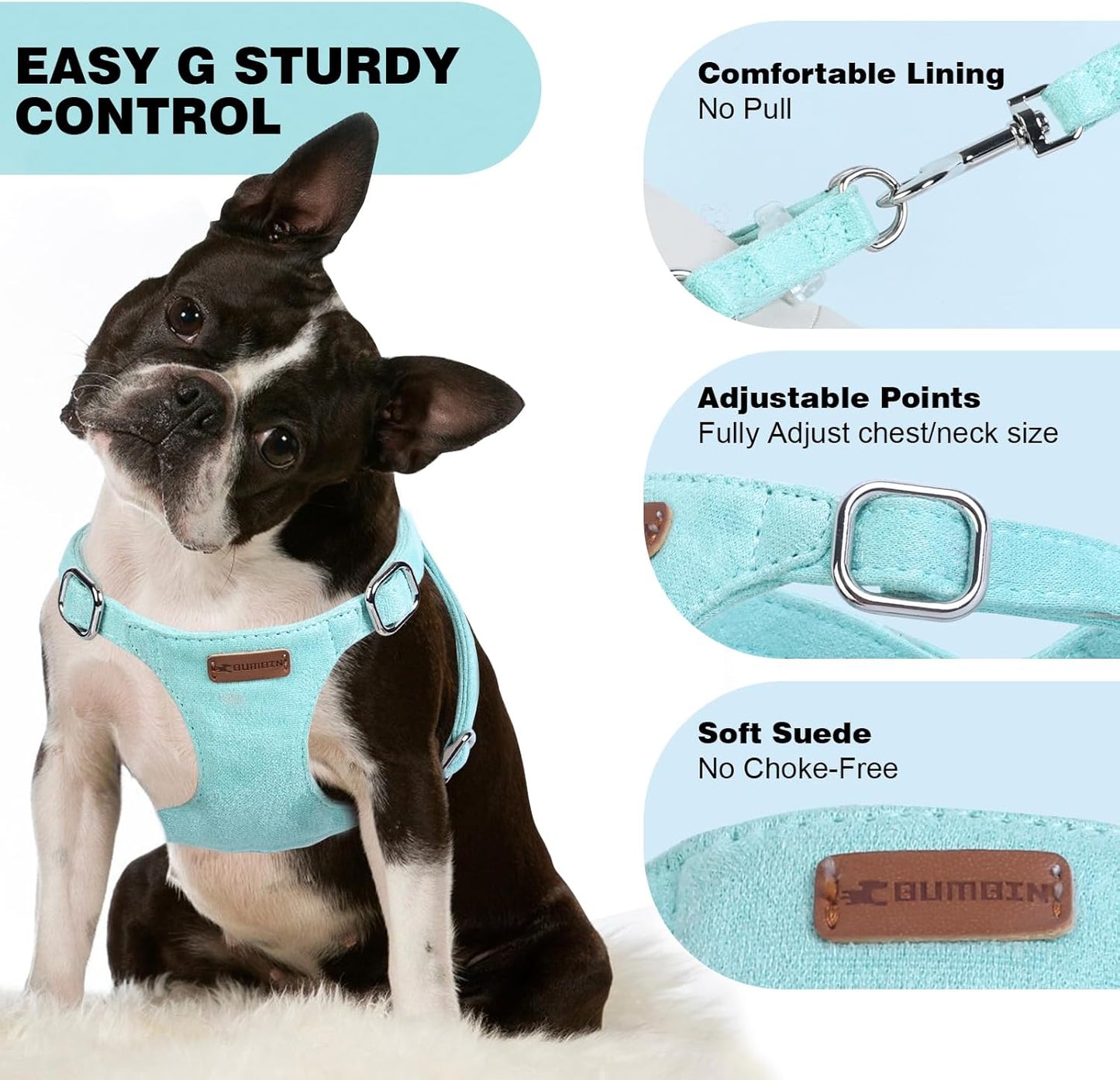 Dog Harness and Leash Set, XXS No Pull Adjustable Puppy Harness with Multifunction Pink Dog Leash and Dog Collar, Soft No Choke Escape Proof Pet Harness Vest for Small Dogs and Cats (Mint Green, S)