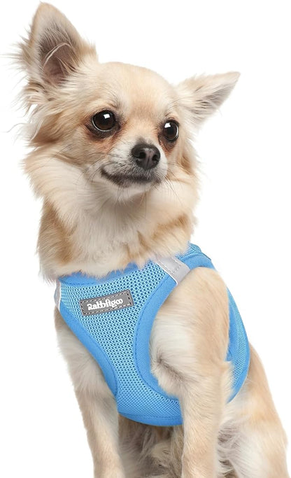 rabbitgoo Small Dog Harness, Step-in Soft Mesh Puppy Vest with Safety Buckle, Breathable Reflective Pet Harness for Extra Small Dogs, Blue XXXS