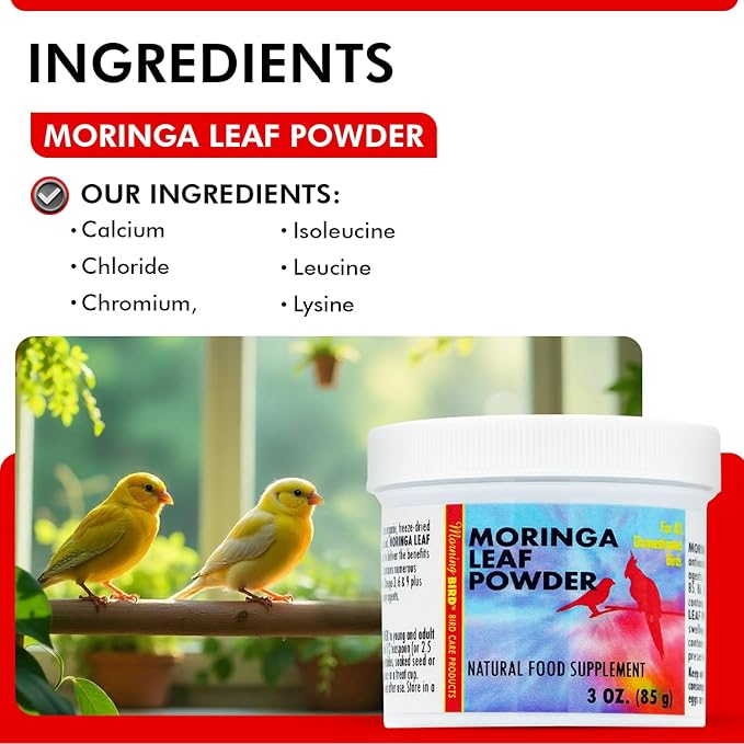 Morning Bird Moringa Leaf Powder 3 oz – Natural Food Supplement for Birds, Rich in Vitamins & Minerals, Boosts Immune System & Energy, Supports Healthy Feathers, Digestion, and Overall Avian Wellness