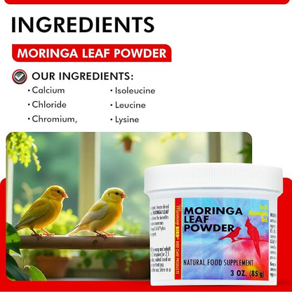 Morning Bird Moringa Leaf Powder 3 oz – Natural Food Supplement for Birds, Rich in Vitamins & Minerals, Boosts Immune System & Energy, Supports Healthy Feathers, Digestion, and Overall Avian Wellness