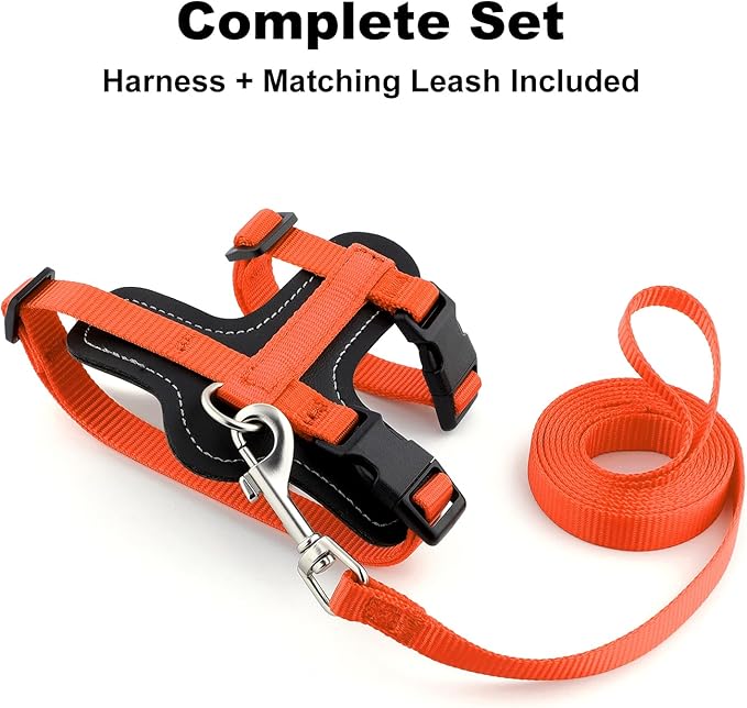Plutus Pet Adjustable Cat Harness and Leash Set, Quick Release, Escape Proof Nylon Vest with Leather Trim for Kitten, Small Medium Large Cats, Orange