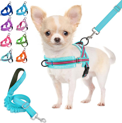 Lukovee No Pull Dog Harness and Leash Set, Soft Padded Small Dog Harness, Neck & Chest Adjustable Reflective Vest Puppy Harness with 4ft Lightweight Anti-Twist Dog Leash for Small Dogs (M, 01-LBL)