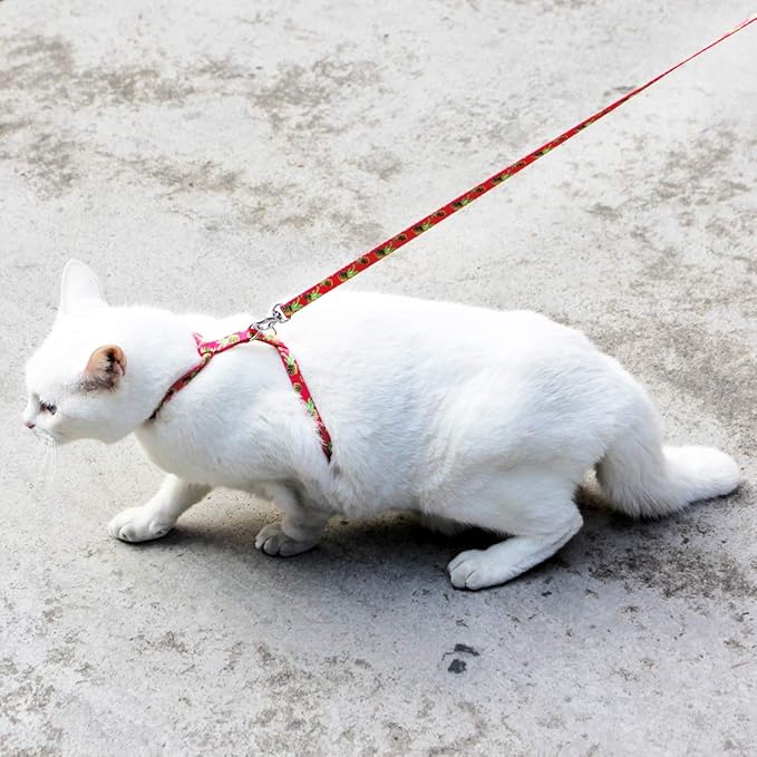 azuza Cat Harness and Leash Set, Escape Proof Adjustable Kitten Vest for Walking and Travel, Soft Lightweight Cat Carrier Harness for Small to Large Cats, Pineapple Design