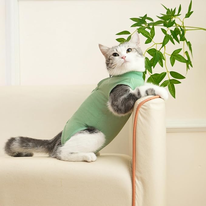 Cat Surgery Recovery Suit Professional for Surgical Abdominal Wound Or Skin Diseases E-Collar Alternative for Cats After Surgery Wear Pajama Suit (Green, Medium)