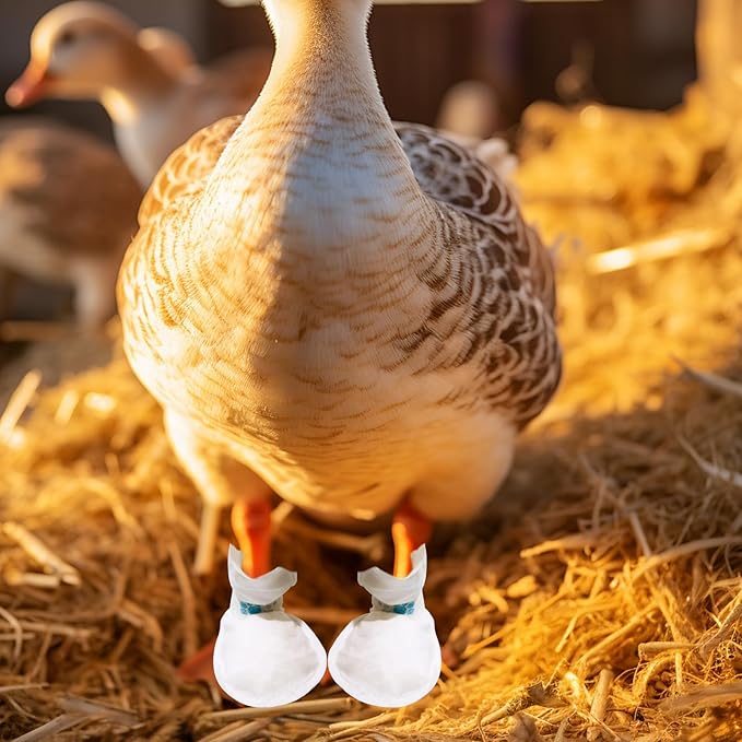 20 Pcs Disposable Duck Foot Protectors, Blue, 7.8*5.9 in, Duck Supplies with Blue Bandage