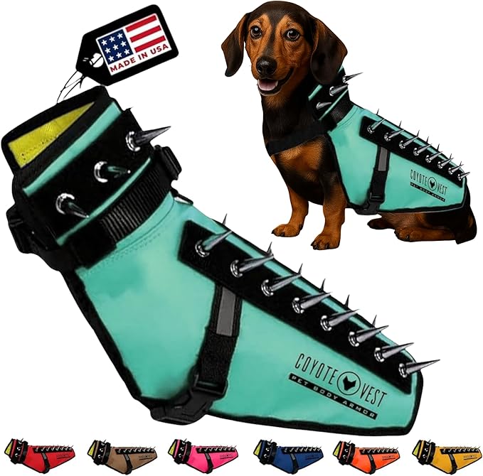 CoyoteVest Dog Harness Protection Vest, Reflective Dog Accessories with Spikes to Shield Your Pet from Raptor and Animal Attacks, Proudly Made in America (X-Small, Turquoise)