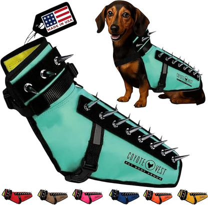 CoyoteVest Dog Harness Protection Vest, Reflective Dog Accessories with Spikes to Shield Your Pet from Raptor and Animal Attacks, Proudly Made in America (X-Small, Turquoise)