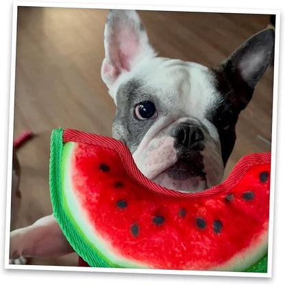 Doggijuana Tuffer Chewer Mini Plush Dog Toy | Funny Dog Toy Plush with Juananip Catnip for Dogs | Calming Aid for Dogs | Interactive Squeaky Chew Toy for Play (Watermelon Slice)