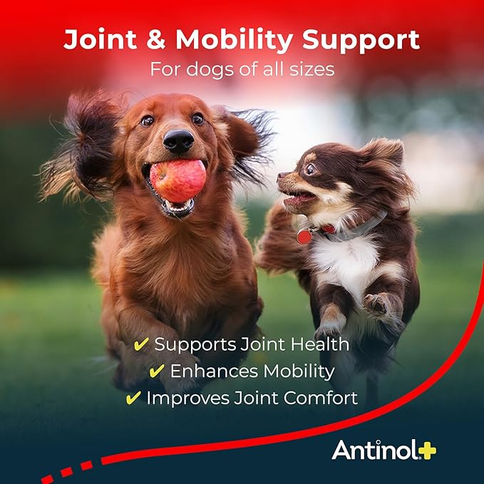 Antinol Plus, Mobility, Hip, and Joint Supplement for Dogs, Green-Lipped Mussels and Krill Oil - Dog Joint Supplement, Better and Faster Than Glucosamine and Chondroitin, 180 Soft Gels