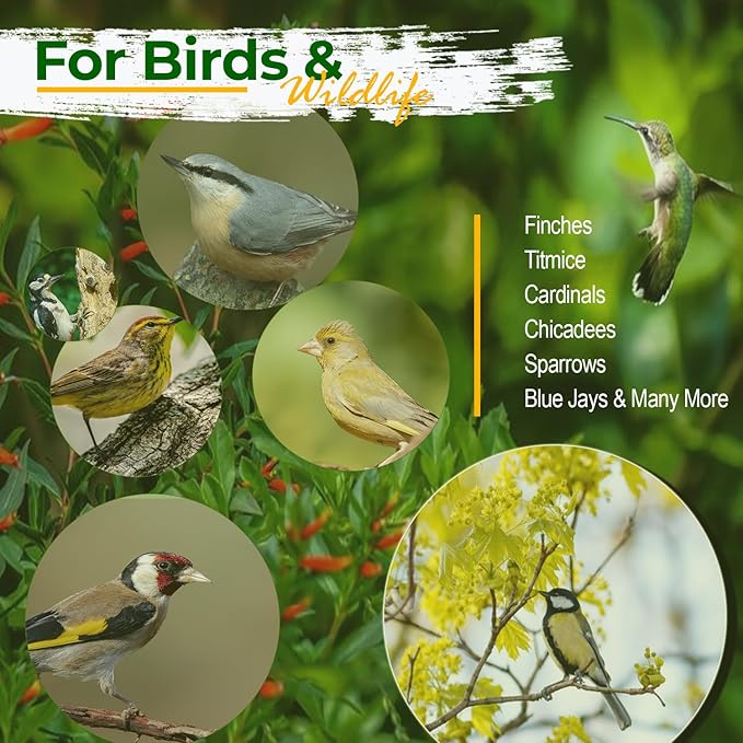 Old Potters Wildlife Sunflower Hearts & Chips for Bird Feeding and Wildlife Bird attracting, Non-GMO and USA Grown, 50 lbs