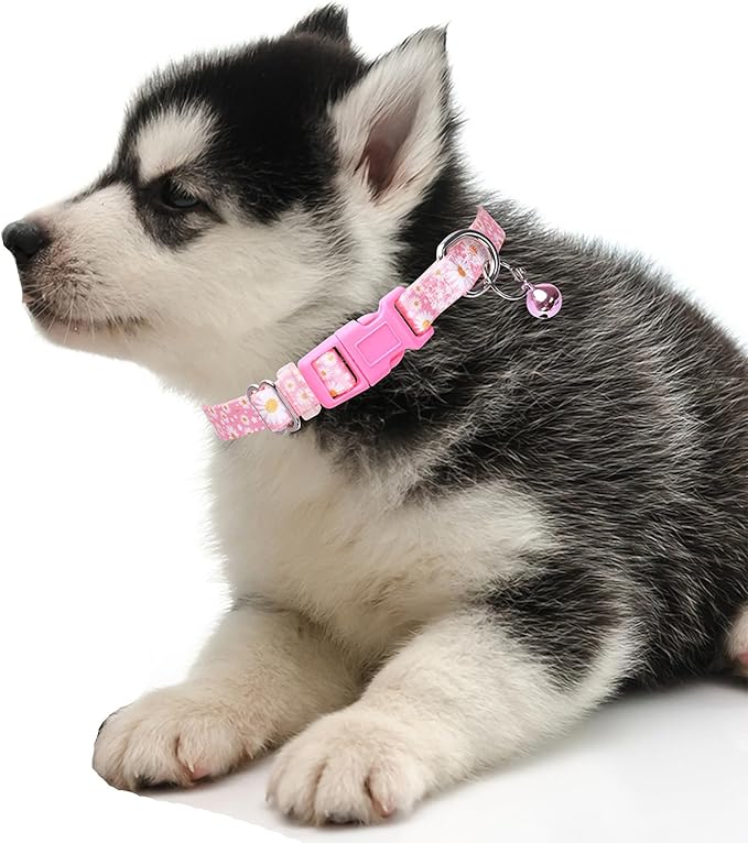 Pink Puppy Collar with Bell, Pretty Floral Daisy Girl Cat Collar Flower Tiny Dog Collars with Bells for XS Small Pet Female Dogs Kitten Little Animal, XSmall