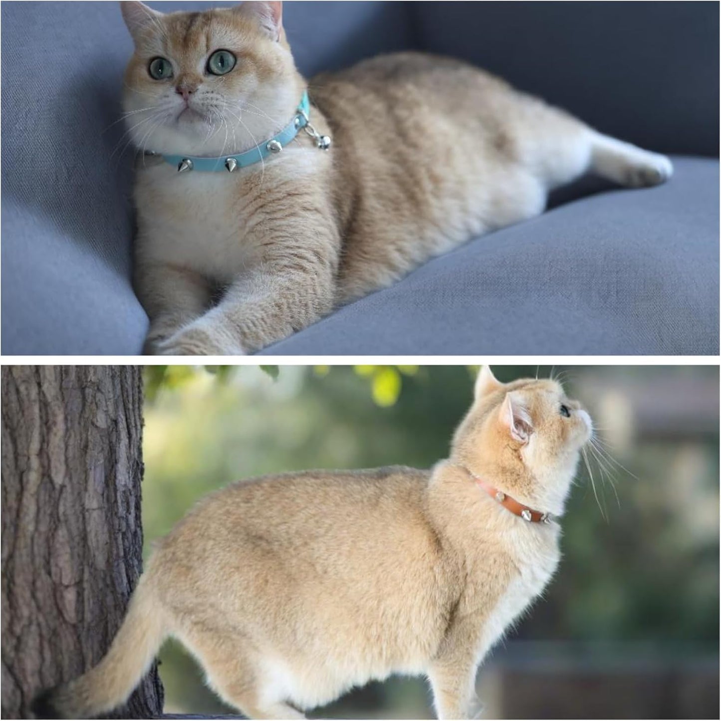 Spiked Cat Collar with Bells, Breakaway Genuine Leather Protective Collar for Kitty, Studs Spikes Punk Style Adjustable for Girl Boy Kittens Small Bunny Rabbit, 10"-12" Brown