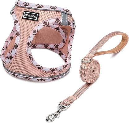 Mercano Soft Mesh Dog Harness and Leash Set, No-Chock Step-in Reflective Breathable Lightweight Easy Walk Vest Harnesses with Safety Buckle for Small Dogs, Cats (Champagne, XL)
