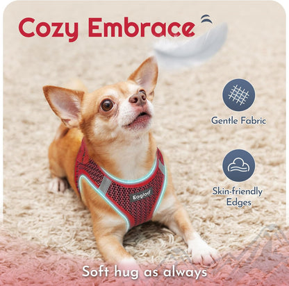 Eagloo Small Dog Harness and Leash Set, Step in Puppy Vest with Breathable Soft Mesh, Walking Reflective Pet Harness for Small Dogs, Red, S