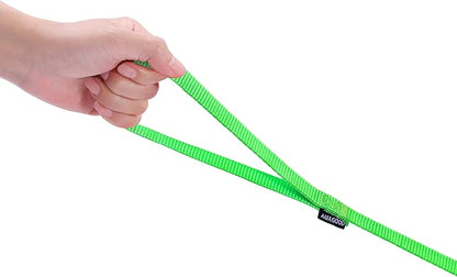 AMAGOOD 6 FT Puppy/Dog Leash, Strong and Durable Traditional Style Leash with Easy to Use Collar Hook, Great for Small, Medium and Large Dogs (1 in x 6 ft(Pack of 1), Green)
