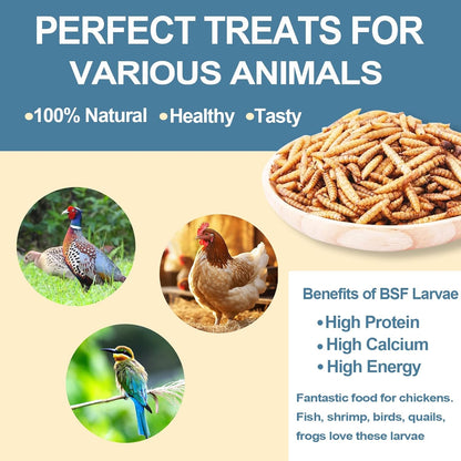 BSF Larvae 85X Calcium Than Dried Meal Worms 20LB(10lbx2) for Chicken Feed - Bulk Black Soldier Fly Larvae Poultry Treats - BSF Grubs Non-GMO Food High Protein Meal Worms for Hens,Wild Bird