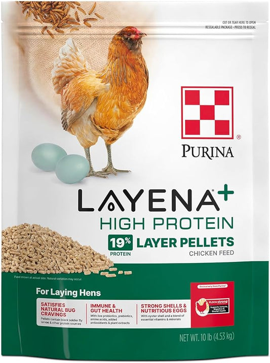Purina Layena + High Protein Layer Chicken Feed (10 Pound)