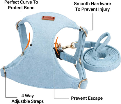 No Pull Dog Harness- Lightweight, Soft, Adjustable Small Harness Collar and Leash Set, Suitable for Cats Puppy Small and Medium-Sized Dog Outdoor Training and Running (Blue, S)