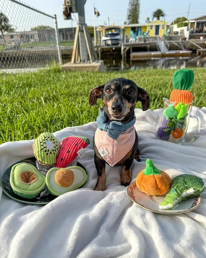 Nocciola Small Squeaky Crinkle Dog Toys- 15 Packs Grocery Basket Fruits Veggies Puppy Toys to Keep Busy, Cute Durable Plush Stuffed Hide Seek Cognitive Boredom Pet Supplies, Dog Birthday Gifts