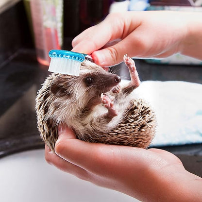 Mudder 3 Pcs Hedgehog Small Animal Grooming Kit Including 2 Bathing Brush and a Nail Toenail Clipper with Magnifier for Pet Hamster Hedgehog Guinea Pig Rabbit Cat Kitten