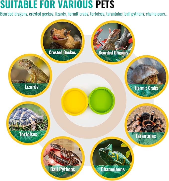 2 Pack Reptile Feeding Bowl, Silicone Reusable Crested Gecko Food and Water Dish, Bearded Dragon Tank Accessories for Lizard, Hermit Crab, Chameleon and Tortoise, Easy to Clean