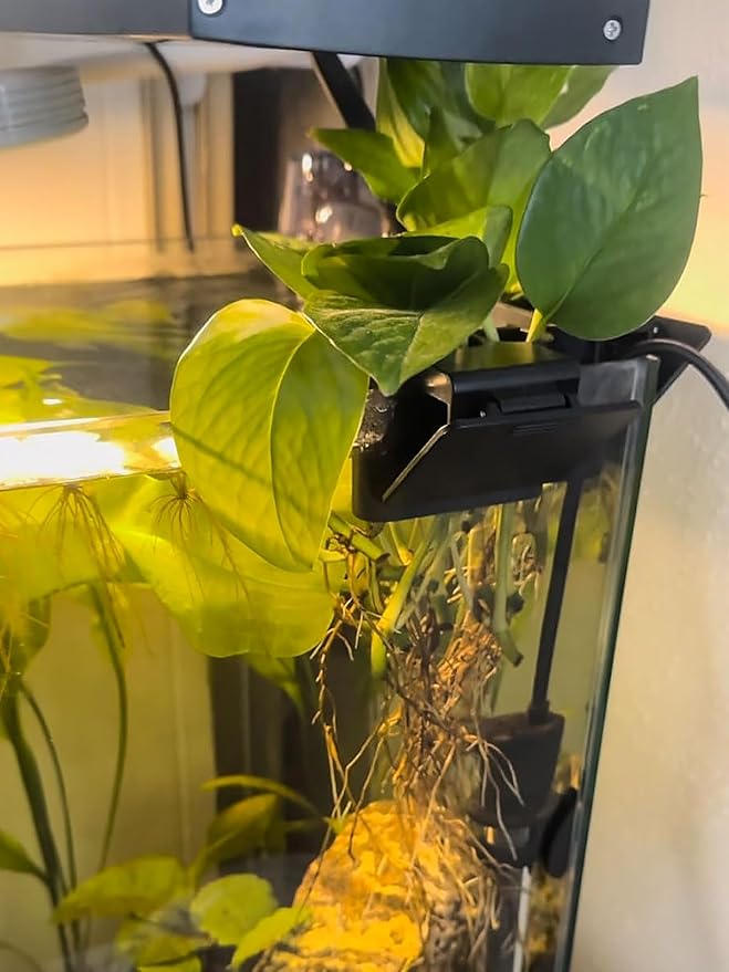 3 Holes Upgraded Aquatic Plant Cup Aquarium Plant Holder for Tank, Hanging Aquarium Plant Holder, Aquarium Aquatic Plant Cultivation, Aquarium Plant Decoration - 1 Pcs Black