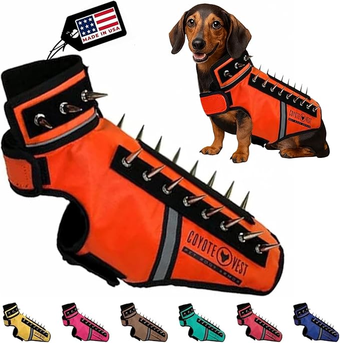 CoyoteVest SpikeVest Dog Harness Vest for Small Dogs, Reflective Dog Vest with Spikes to Shield Your pet from Coyotes, Raptor and Animal Attacks, Anti Hawk Vest, Made in USA (XS-Fluorescent Orange)