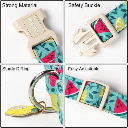 DOGWONG Summer Dog Collar, Summer Lemon Watermelon Dog Collars, Adjustable Cute Boy Pet Collars Girl Design Dog Collar for Small Medium Large Dogs