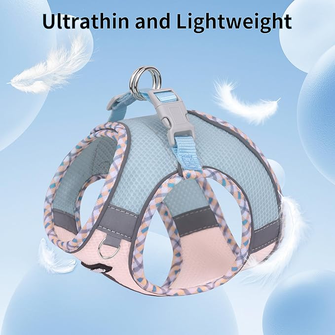 AIITLE Dog Harness and Leash Set - Ultra-Comfortable XXS-XL Vest with Strong Magic Tape & Glow-in-Dark Reflective Strips, Chafe-Free for Teddy, Schnauzer (Blue-Pink, M)